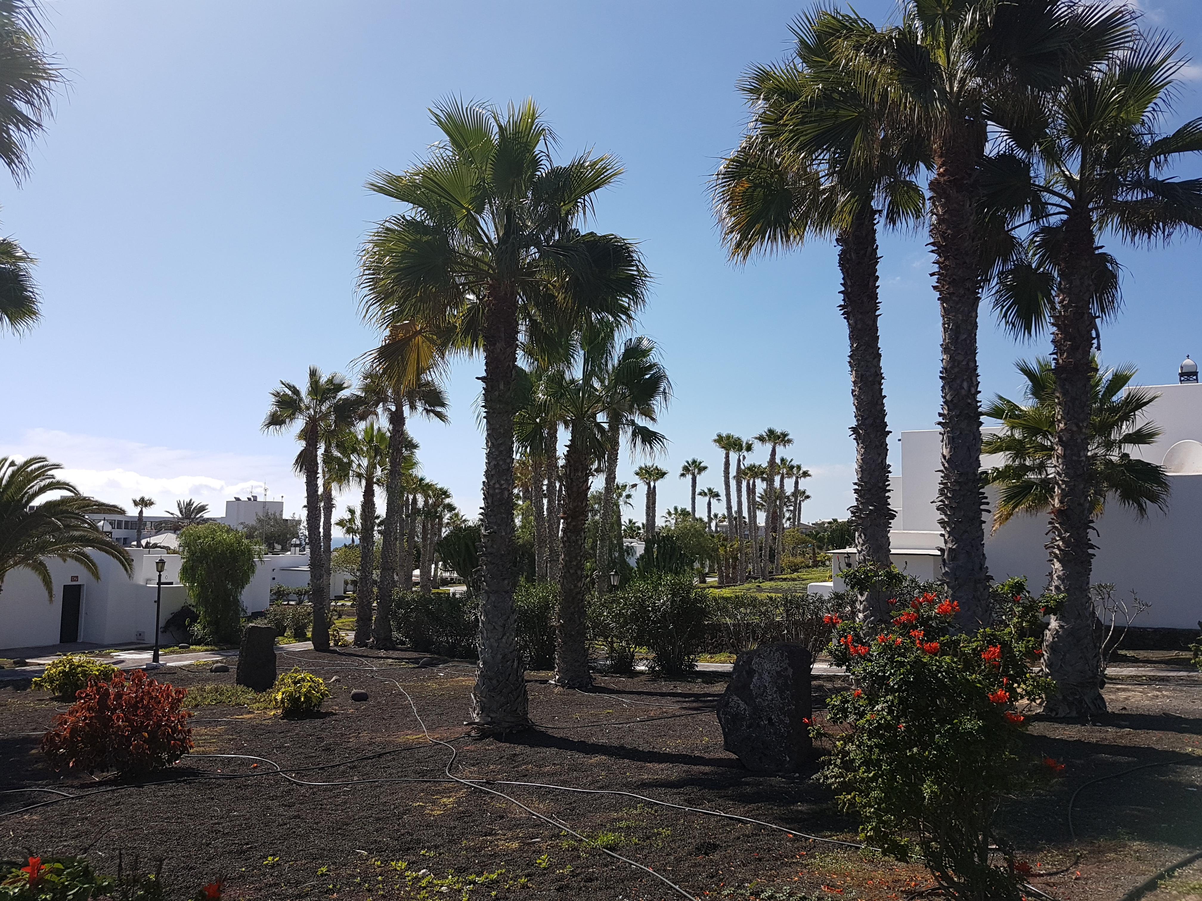 Palmeras Garden Плая Бланка Екстериор снимка