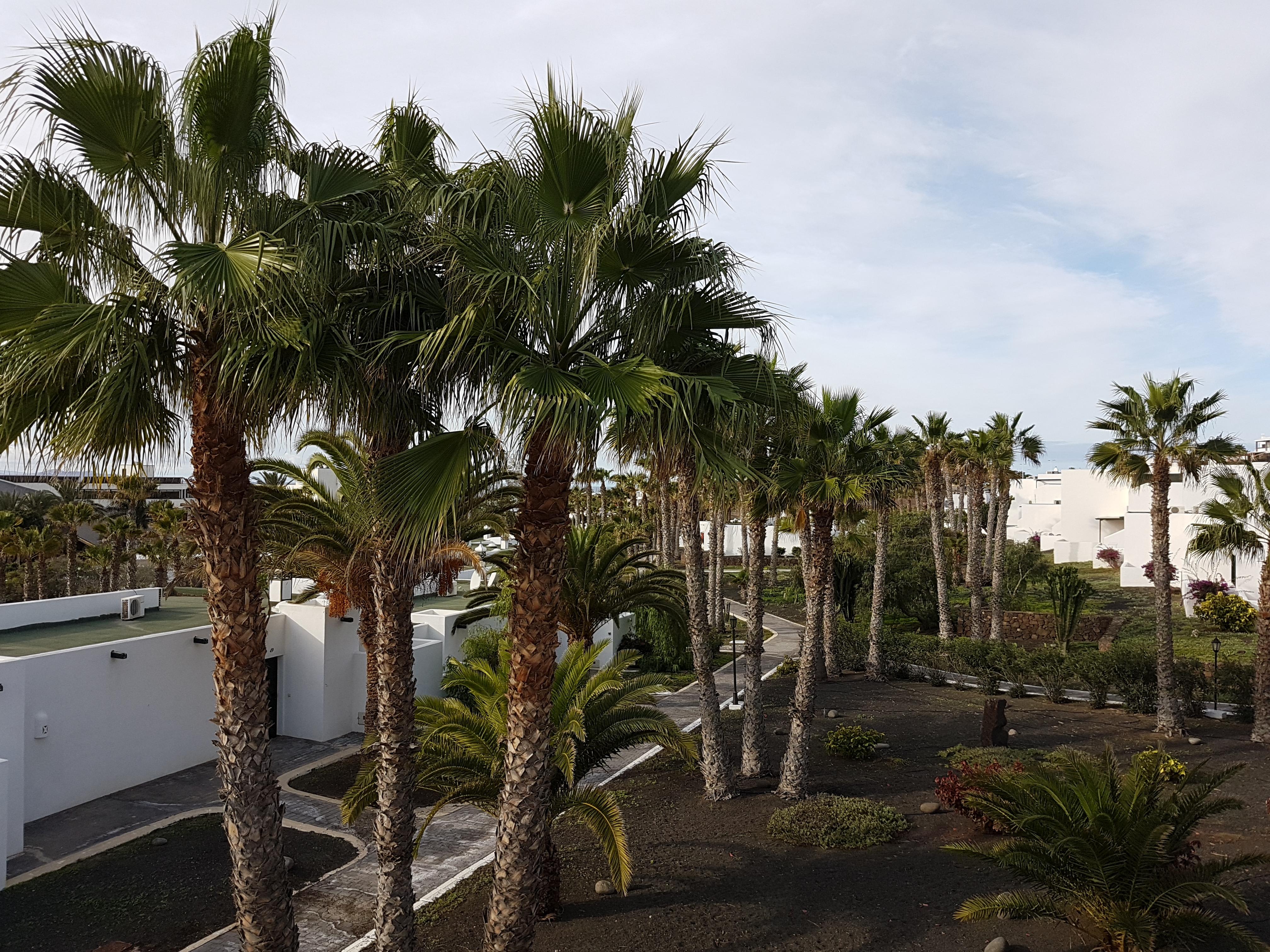 Palmeras Garden Плая Бланка Екстериор снимка